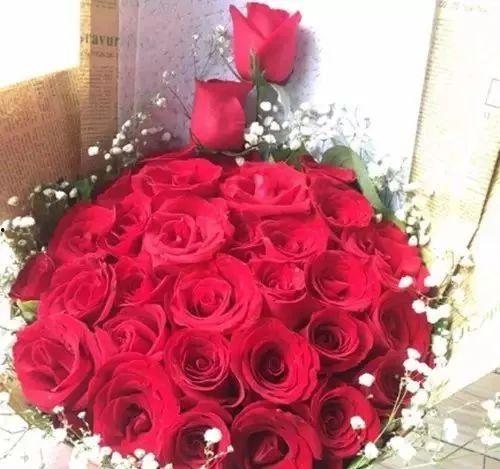 520玫瑰最新爆料,幕后故事与情感真相大曝光 第1张 520玫瑰最新爆料,幕后故事与情感真相大曝光 第1张